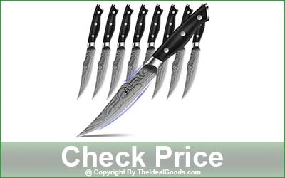 COQUUSAID 8-Piece Straight Edge Steak Knife Set