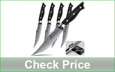 COQUUSAID 4-Piece Non Serrated Steak Knife Set