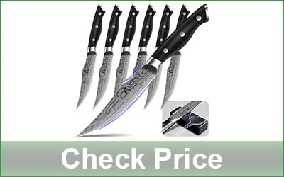 COQUUSAID 6-Piece Non Serrated Steak Knife Set