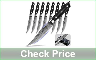 COQUUSAID 8-Piece Non Serrated Steak Knife Set